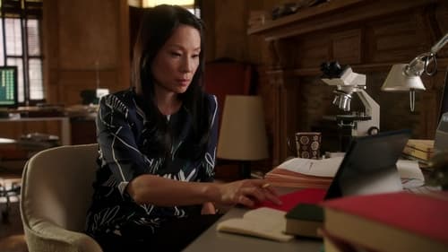 Elementary, S02E20 - (2014)