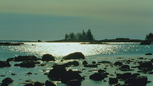 Tide Pools image 3