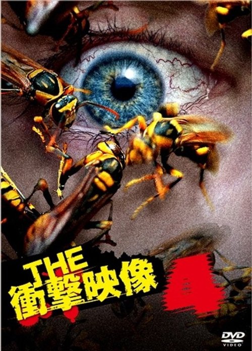 THE 衝撃映像 4