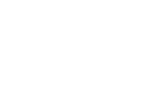 Our Only Chance