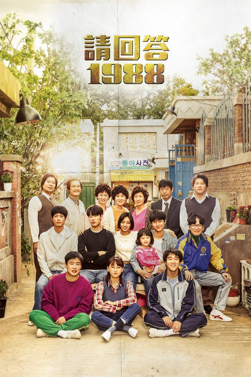 《請回答 1988》第1季海報