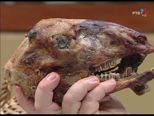 Image de l'épisode 34