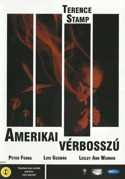 Amerikai vérbosszú 1999