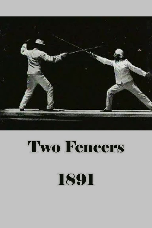 Two Fencers cover