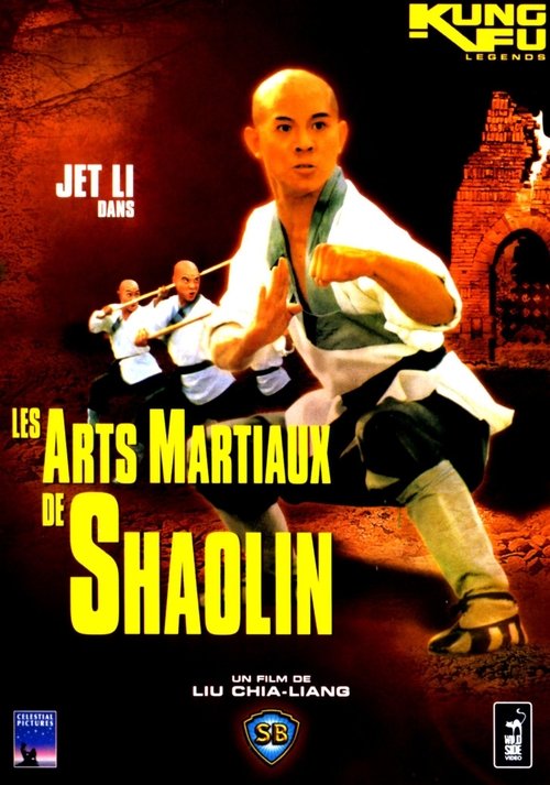 Martial Arts of Shaolin poster