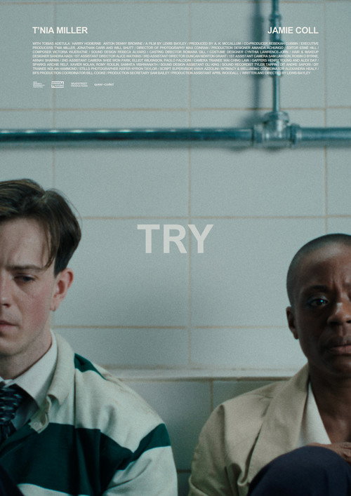 TRY poster