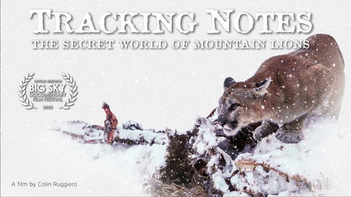 Tracking Notes Backdrop Blur