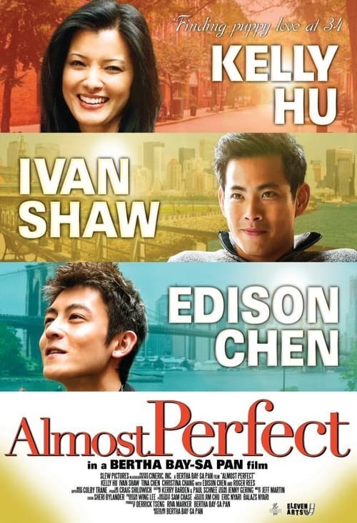 Poster do filme Almost Perfect