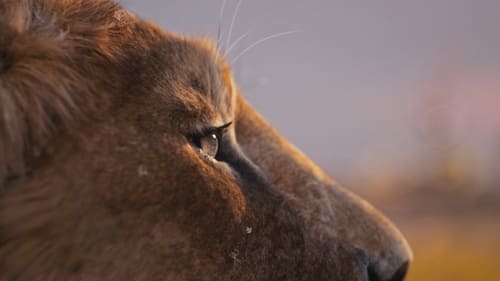 Mufasa The Lion King Screenshot 1