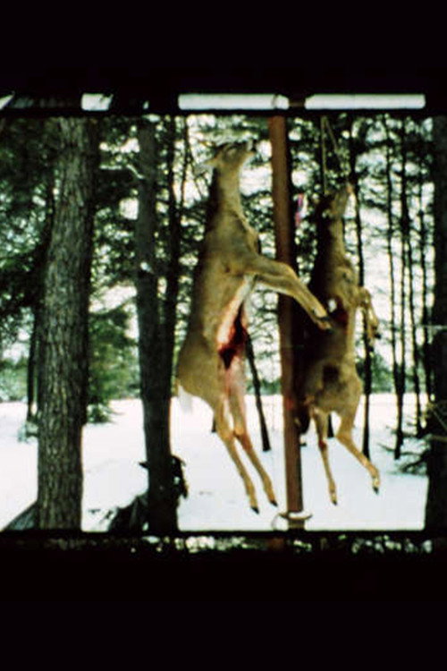 Landscape Suicide poster