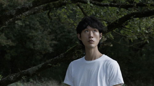 Warum ist nicht schon alles verschwunden