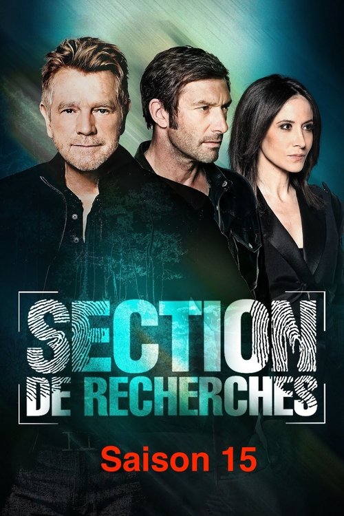 Póster de la temporada 15 de la serie Unidad de investigación