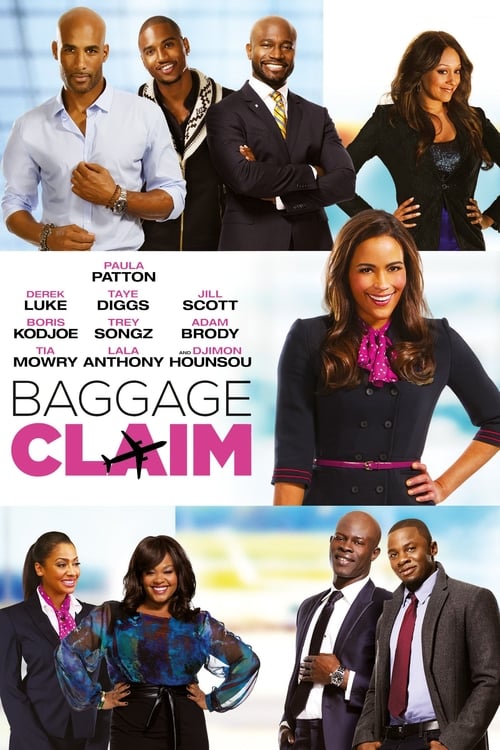 Baggage Claim (2013)