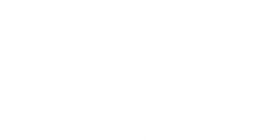 Operação Fronteira: América do Sul