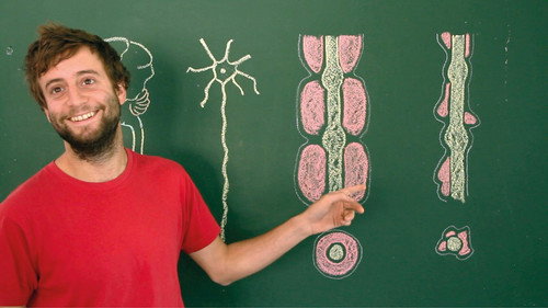 Toubib, 12 années dans la vie d'un étudiant en médecine