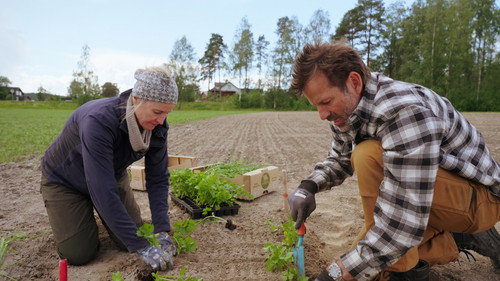 Self-sufficiency is a lot of work