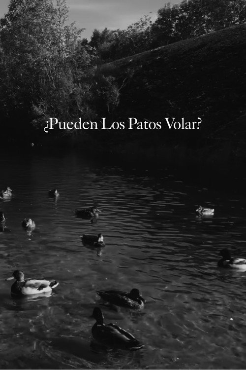 Pueden Los Patos Volar?