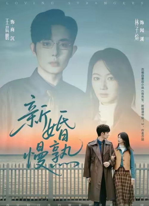 新婚慢熟 Poster