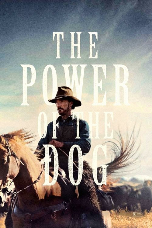 The Power of the Dog poster