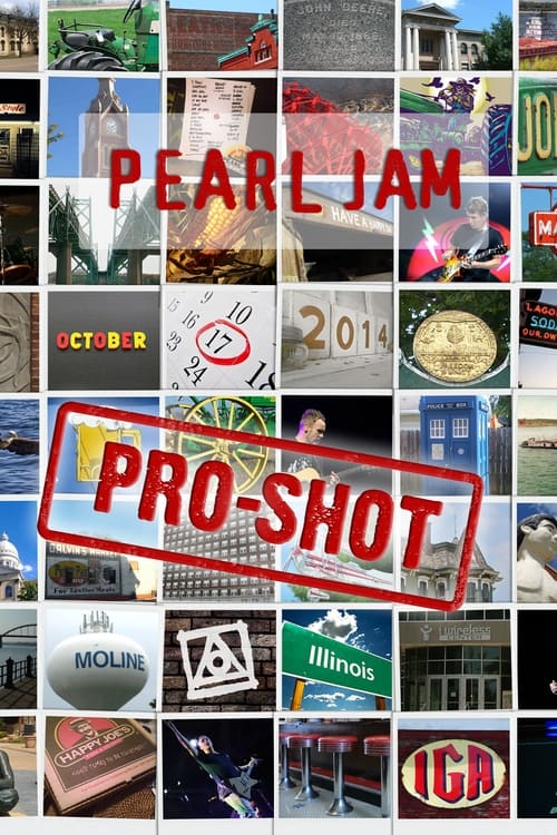 Pearl Jam: Moline 2014 - The No Code Show [Nugs] (2014)