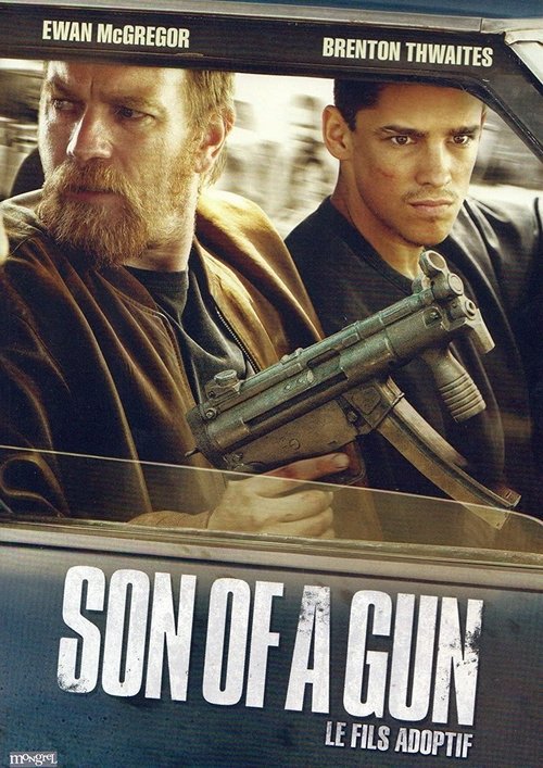 The Brothers Solomon poster