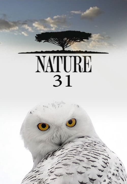 Nature, S31 - (2012)