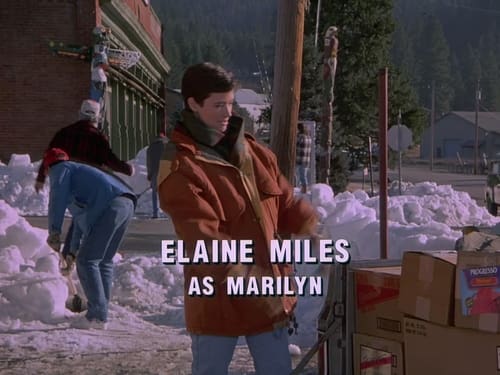 Poster della serie Northern Exposure