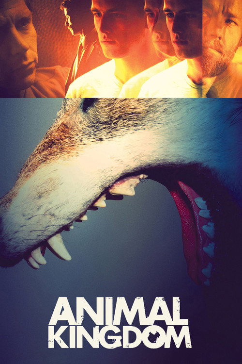 Animal Kingdom poster
