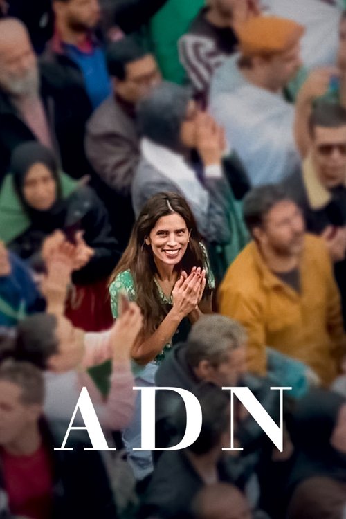 ADN 2020