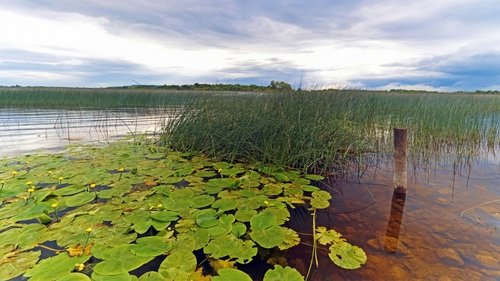 Nature, S32E07 - (2014)