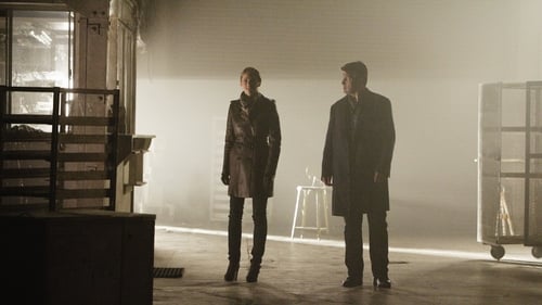 Castle: 6×18