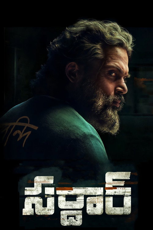 Sardar poster