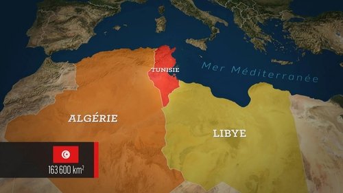 Tunisie : une voie singulière au Maghreb