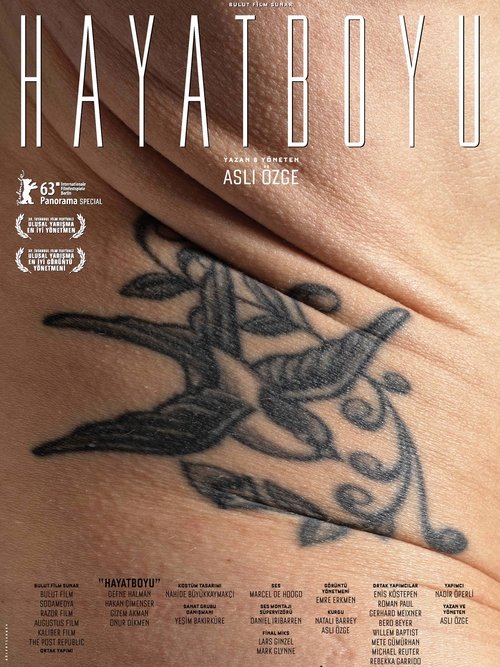 Hayatboyu (2013)