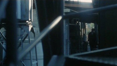 The Woman from Hong Kong - Too Amazing Pleasure