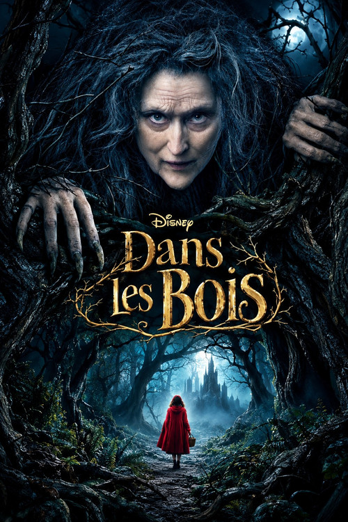 Affiche de Into the Woods : Promenons-nous dans les bois
