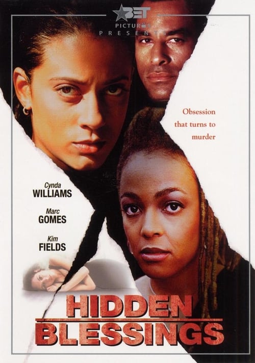 Poster do filme Hidden Blessings