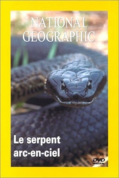Serpenti Australiani