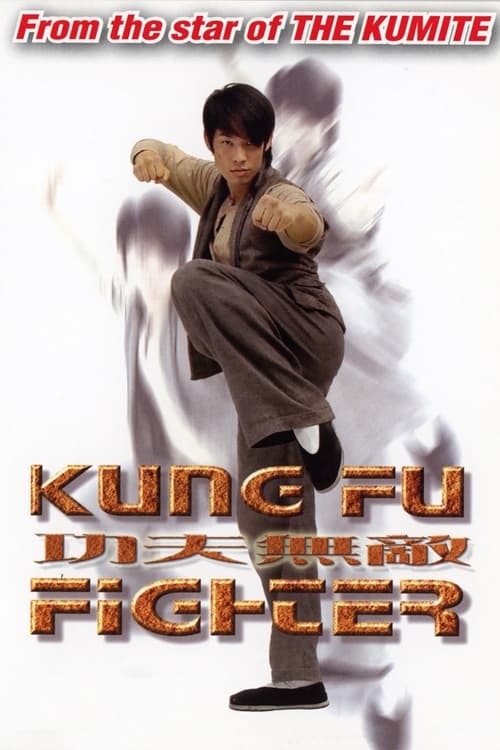 Kung Fu Fighter (2007)