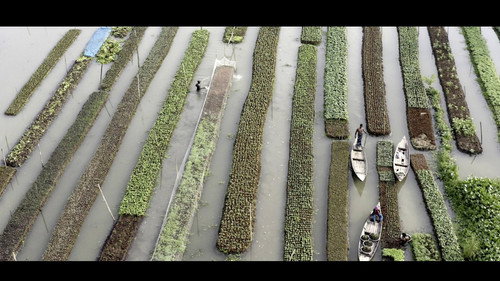 Elements of(f) Balance