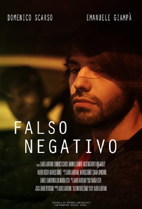 Poster False Negative 2016