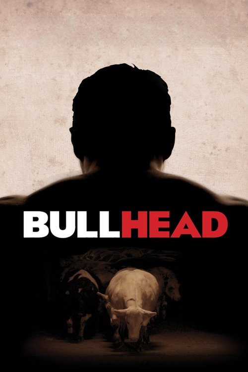 Poster image du film Bullhead Bullhead
