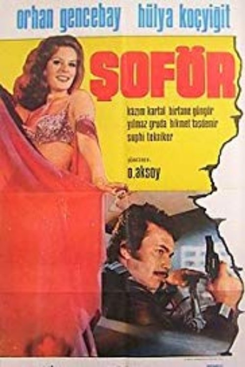 Soför (1976)