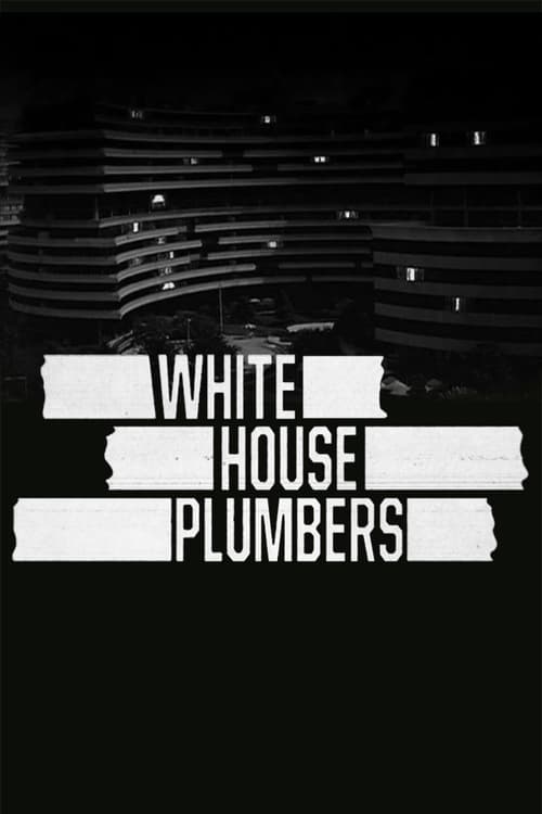 The White House Plumbers