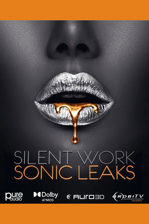 Silent Work – Sonic Leaks