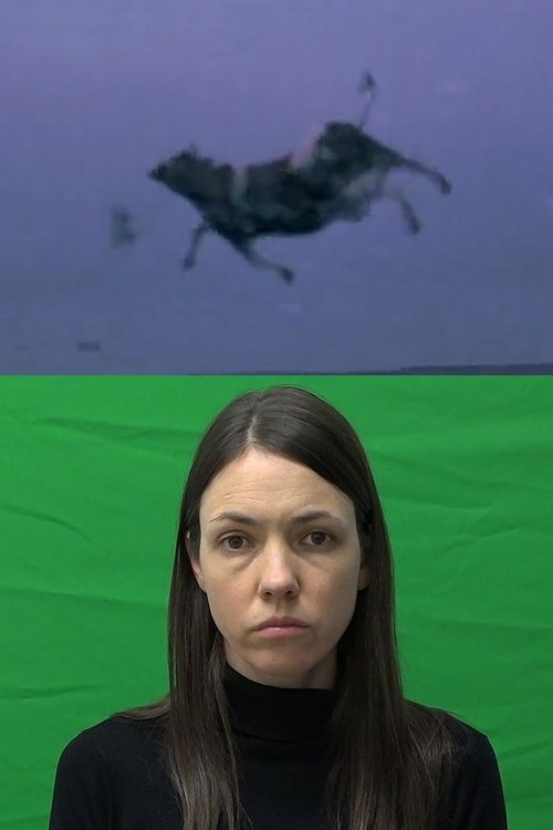 Alice’s Four Stories poster