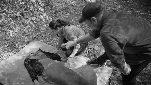 Image de l'épisode 97