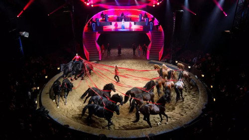 Les Folies Gruss, 50 ans à Paris