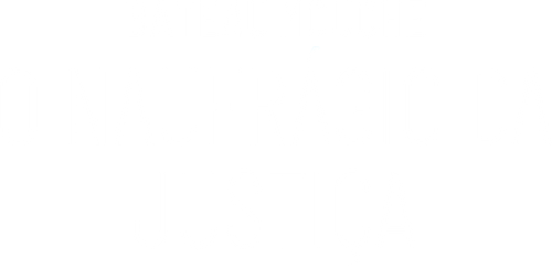 Bateau Mouche O Naufragio da Justica
