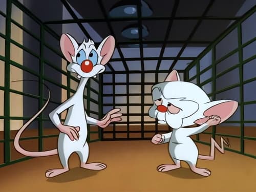 Poster della serie Pinky and the Brain